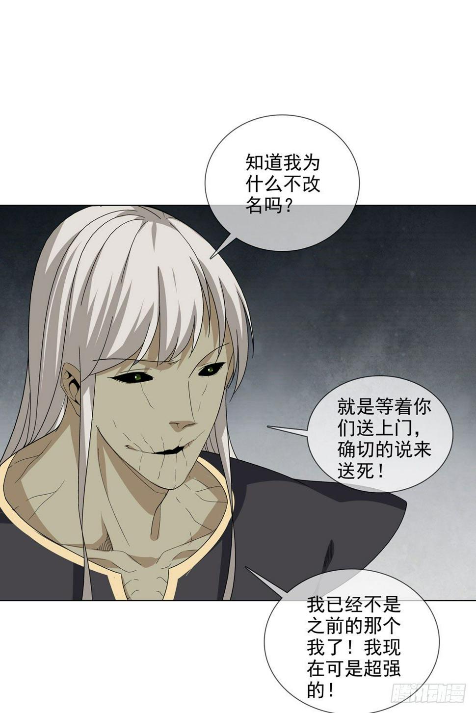 毒种17