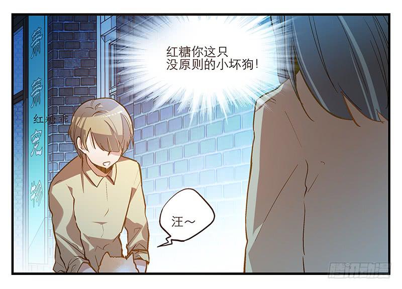 第六回 红糖的遛狗员（下6