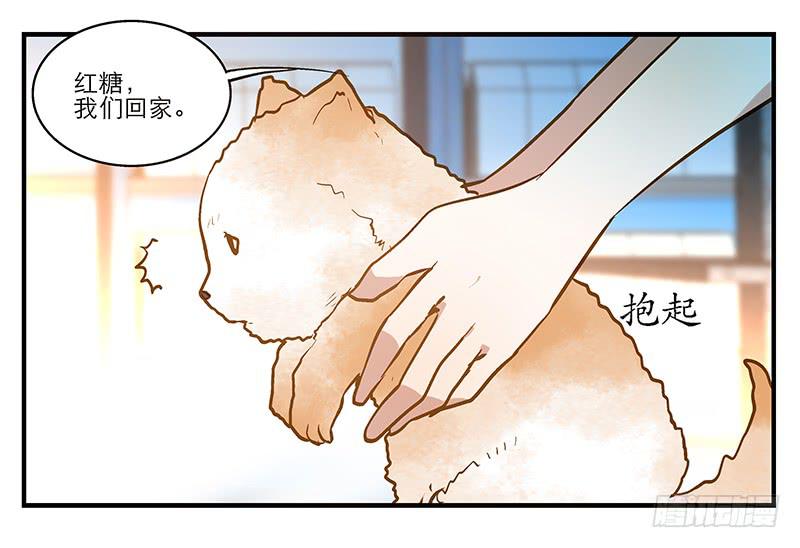 第五回 红糖的遛狗员（上41