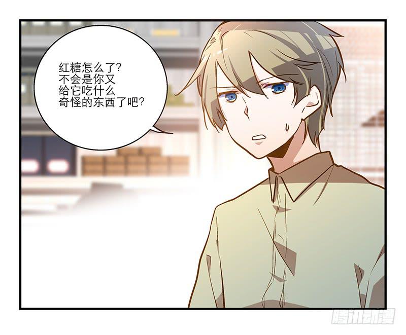 第十三话 神秘合作方32