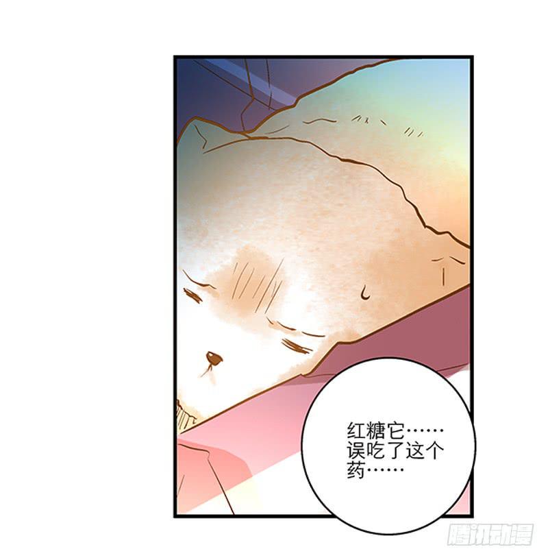第十四话 我退出！6