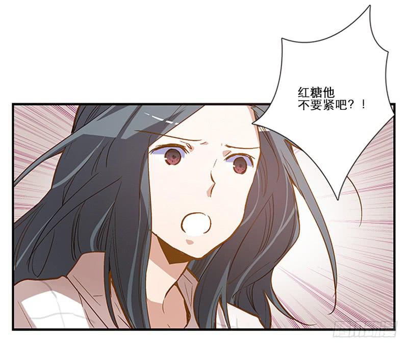 第四回 我的兽医先生1