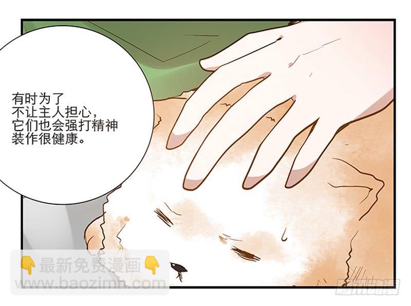 第四回 我的兽医先生7