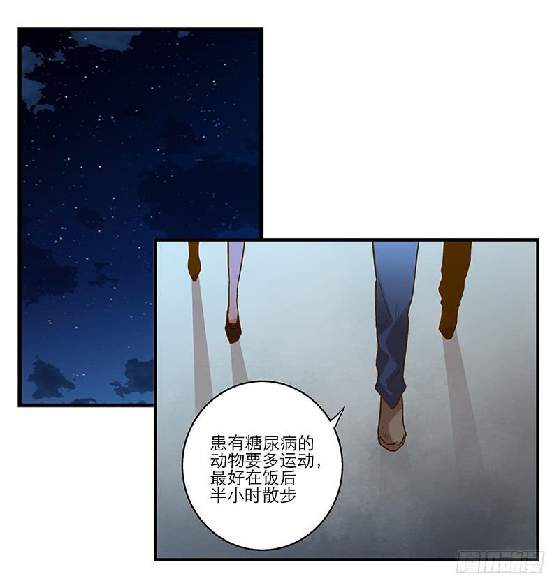 第六回 红糖的遛狗员（下9