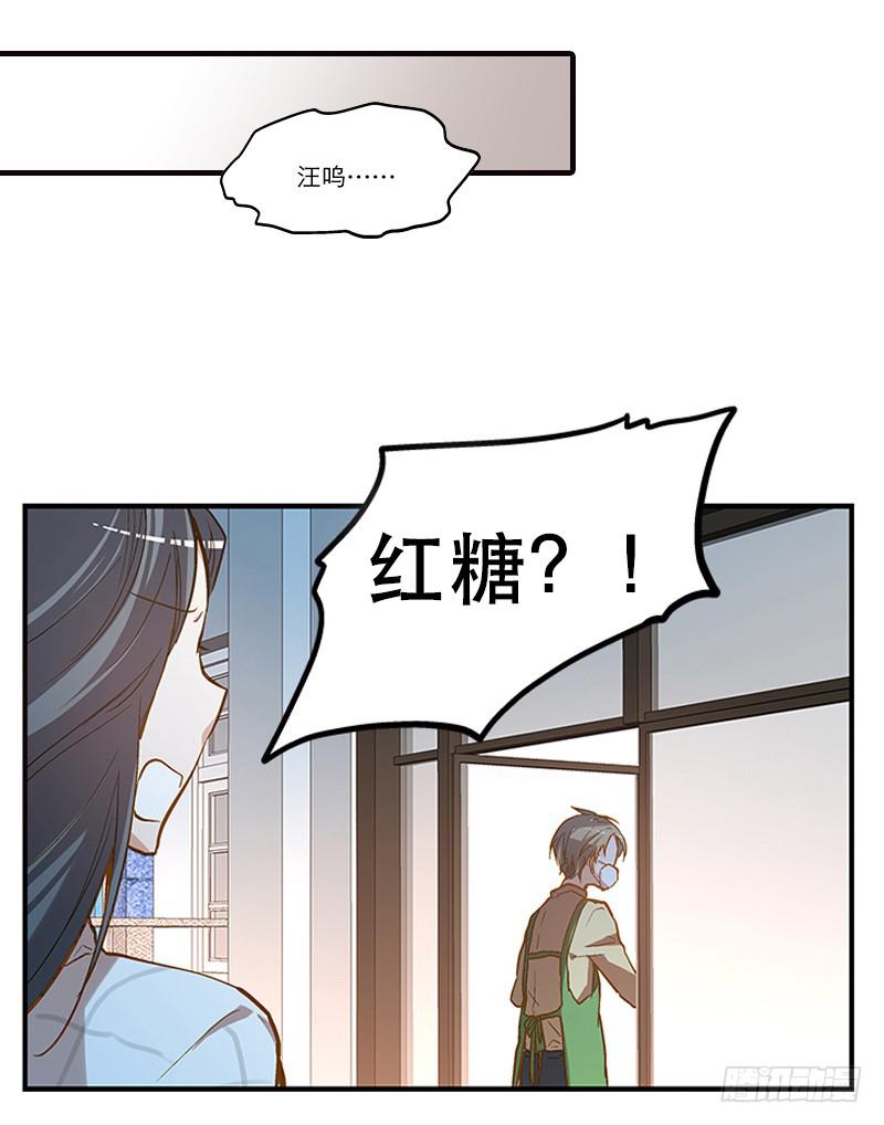 第二回 红糖你在哪儿？12