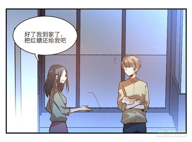 第六回 红糖的遛狗员（下14