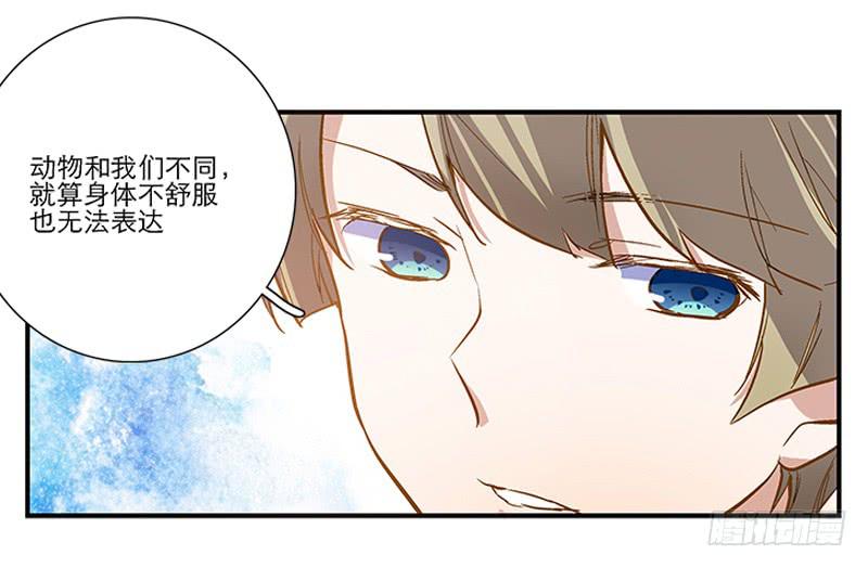 第四回 我的兽医先生6