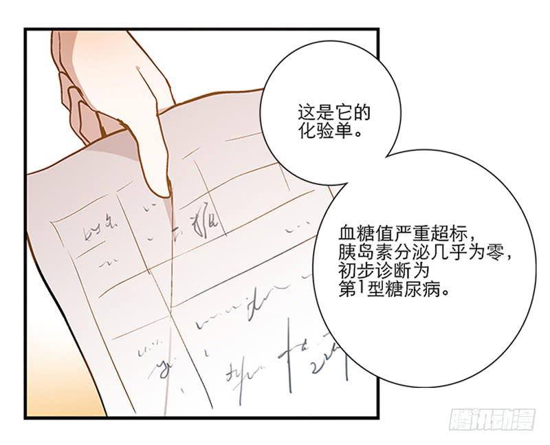 第四回 我的兽医先生3