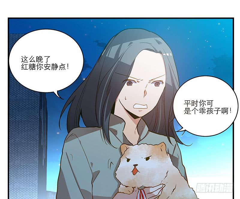 第六回 红糖的遛狗员（下1