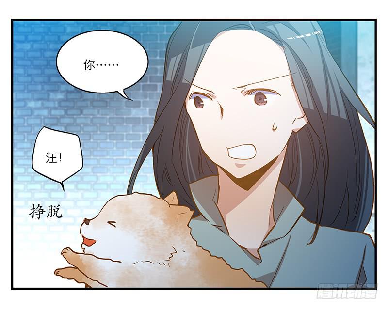 第六回 红糖的遛狗员（下5
