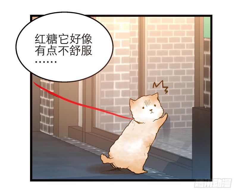 第十二话 红糖想你了9