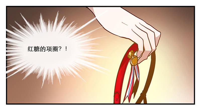 第二回 红糖你在哪儿？9