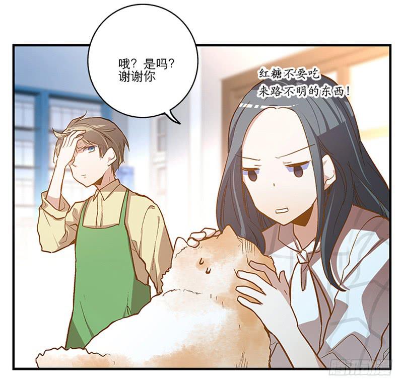 第二回 红糖你在哪儿？19