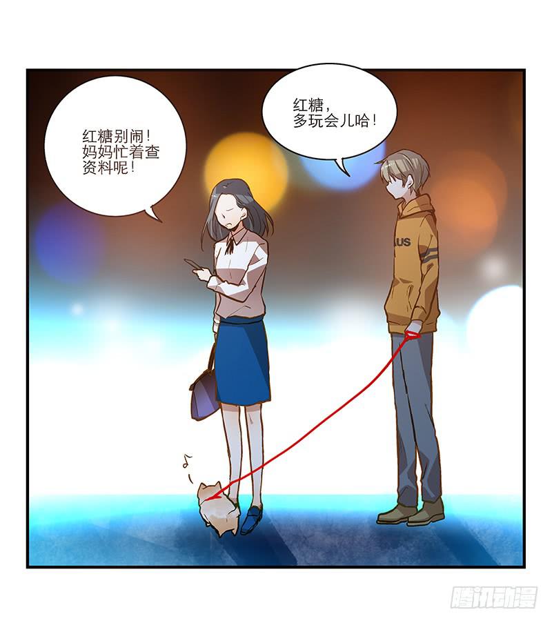 第二十话 该撒狗粮了19