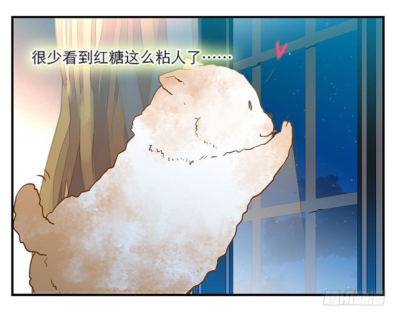 第六回 红糖的遛狗员（下27