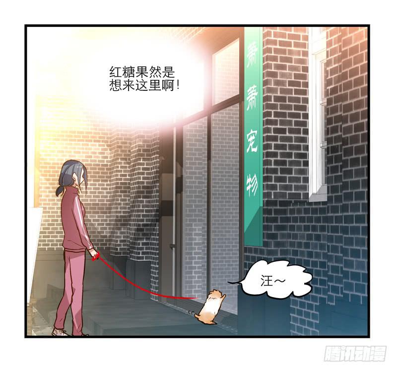 第十二话 红糖想你了1