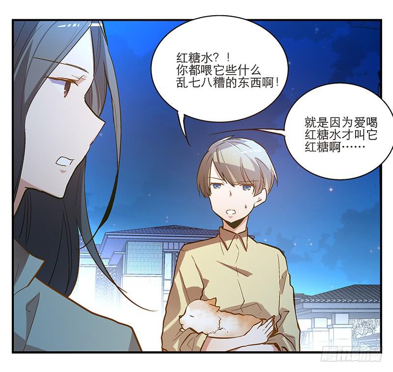第六回 红糖的遛狗员（下13