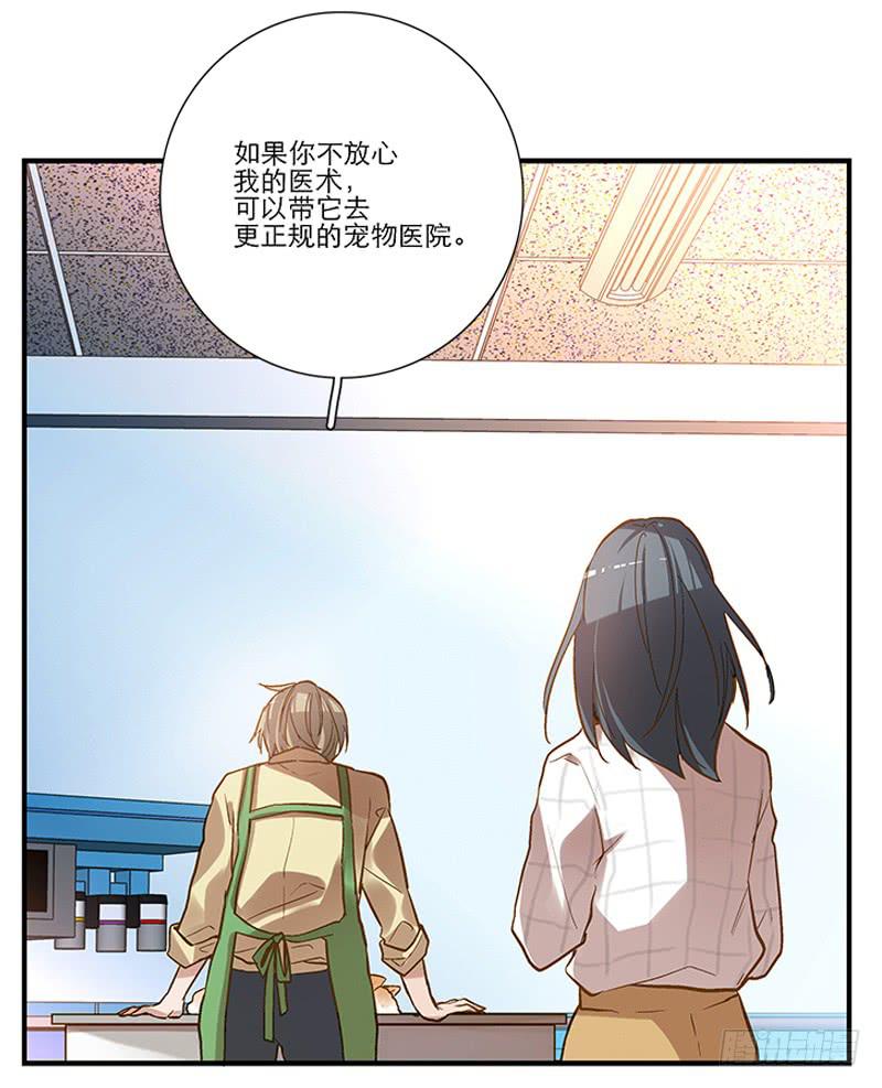 第四回 我的兽医先生10