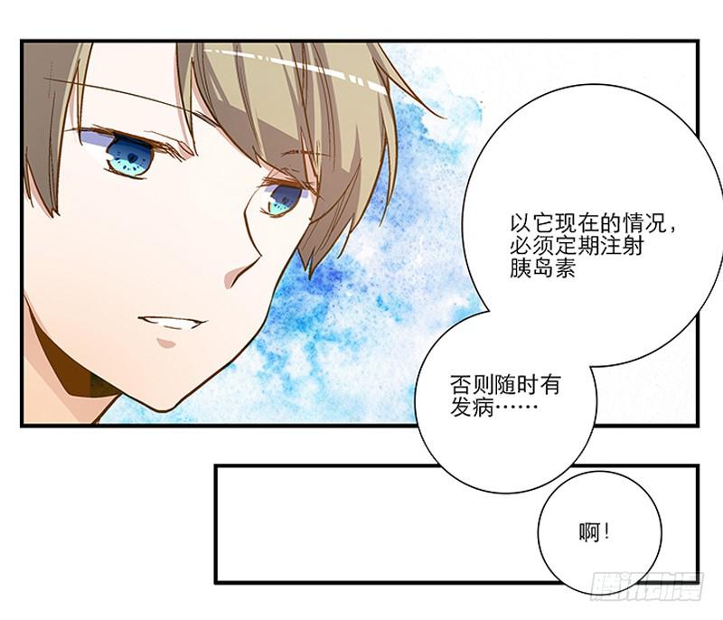第四回 我的兽医先生9