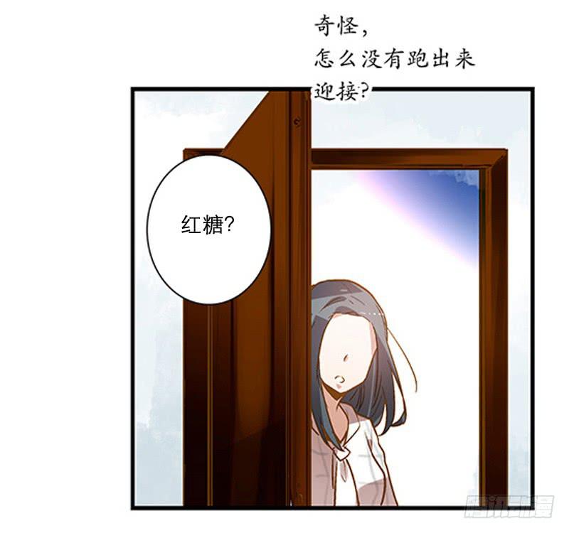 第三回 醒醒！红糖！29