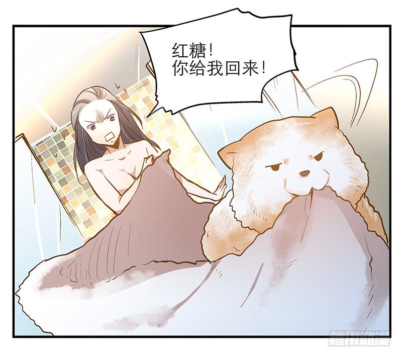 第七回 尴尬的插曲24
