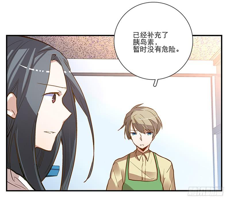 第四回 我的兽医先生2