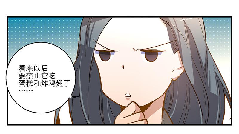 第六回 红糖的遛狗员（下11