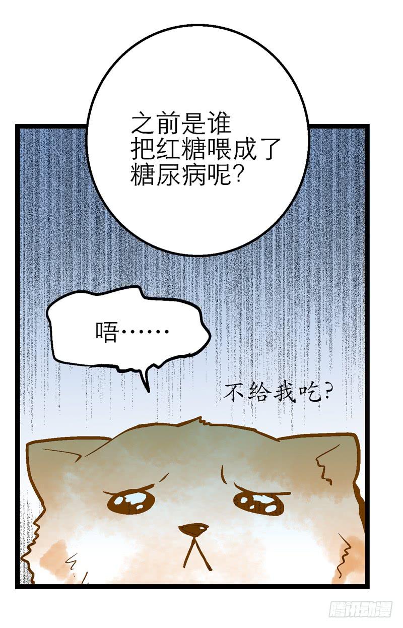 第二十四话 爱吃烧烤的假兽医21