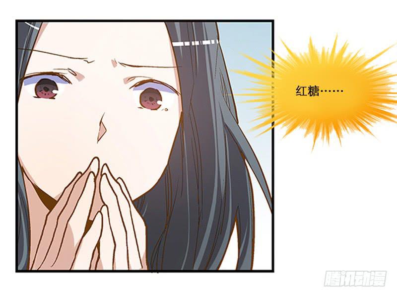 第四回 我的兽医先生8