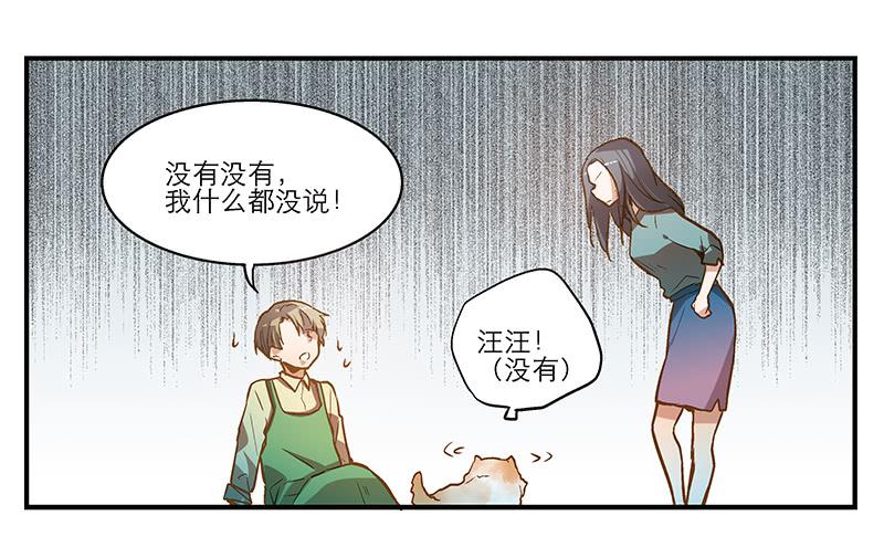 第五回 红糖的遛狗员（上40