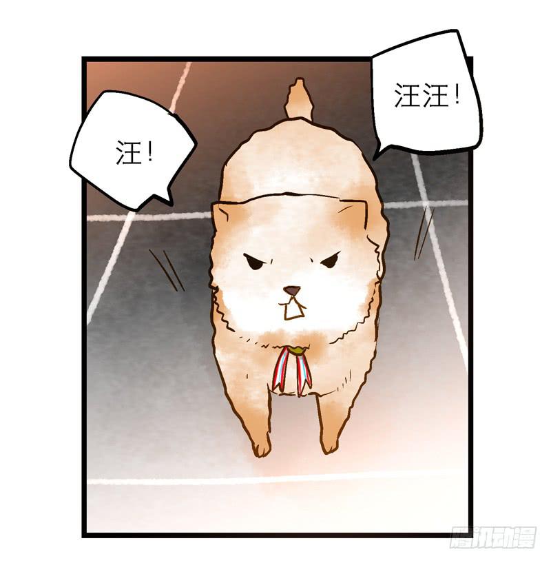 第十回 不许干涉我的生活！7