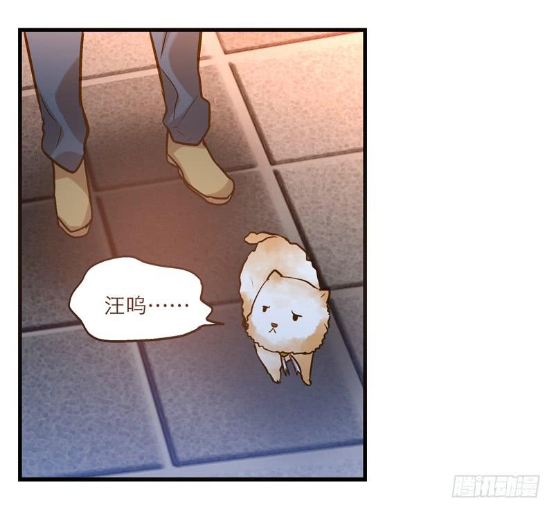 第十回 不许干涉我的生活！17