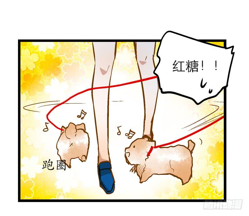 第二十话 该撒狗粮了21