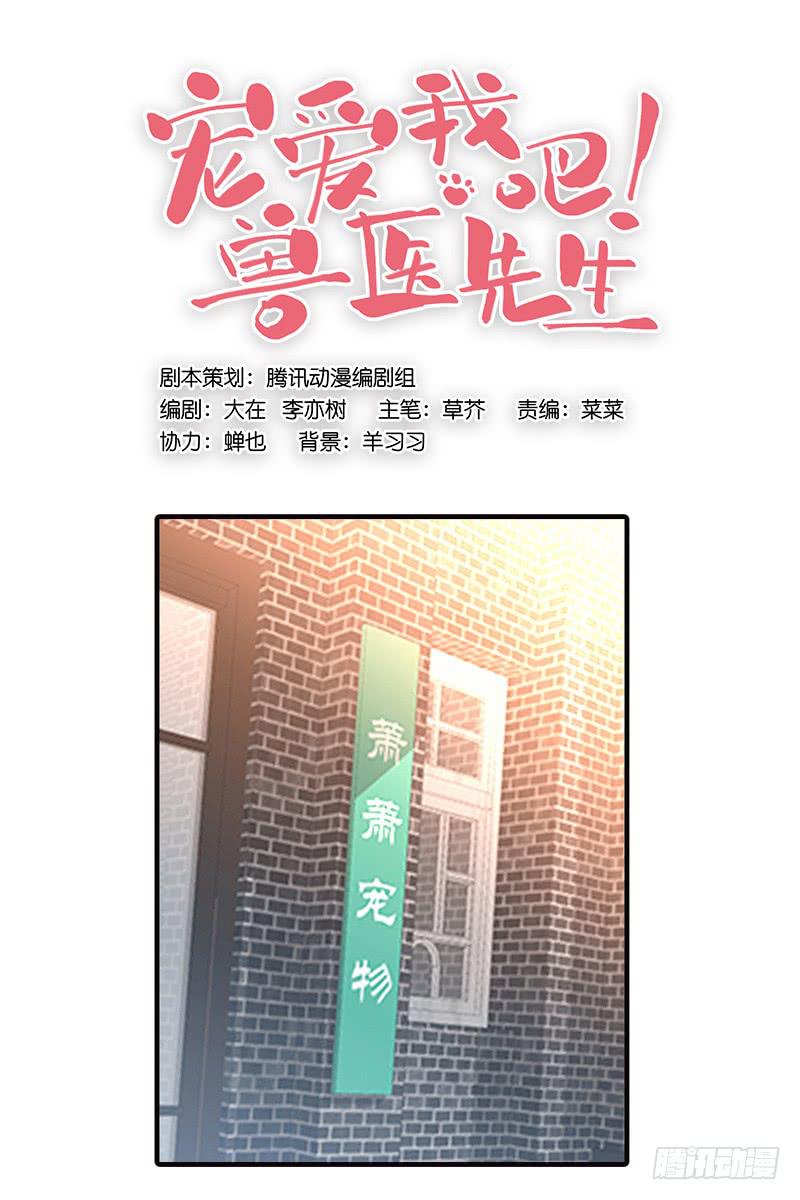 第四回 我的兽医先生0