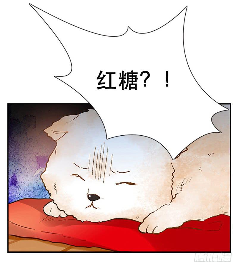 第三回 醒醒！红糖！31