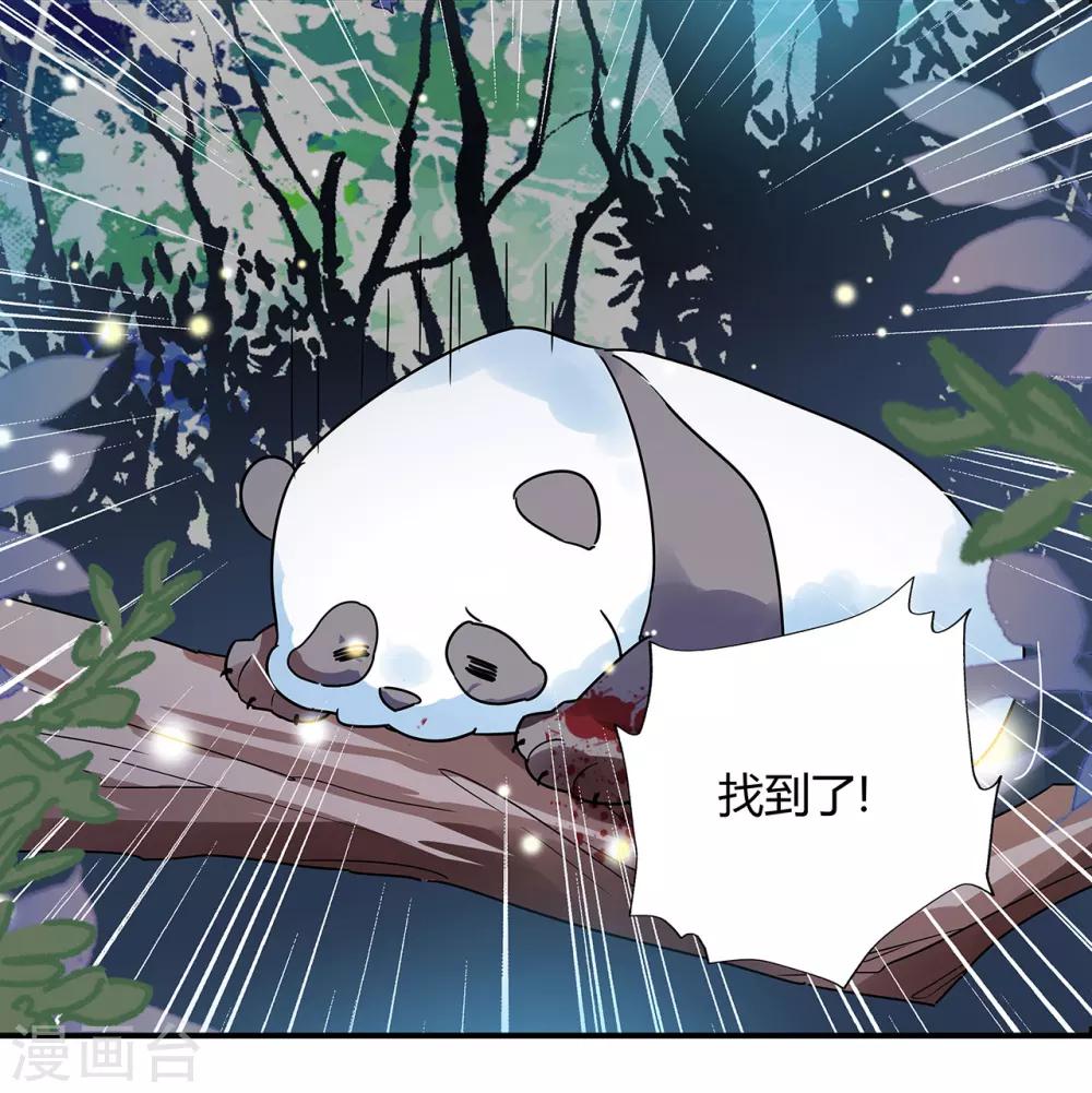 第1话 熊猫危机！5