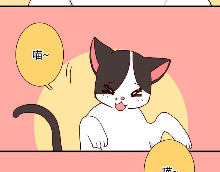 第19话 带我飞！4