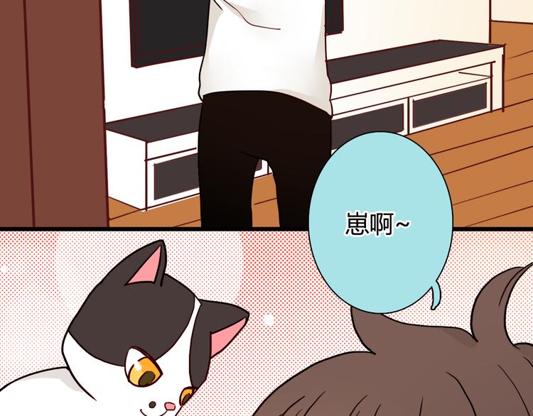 第19话 带我飞！7