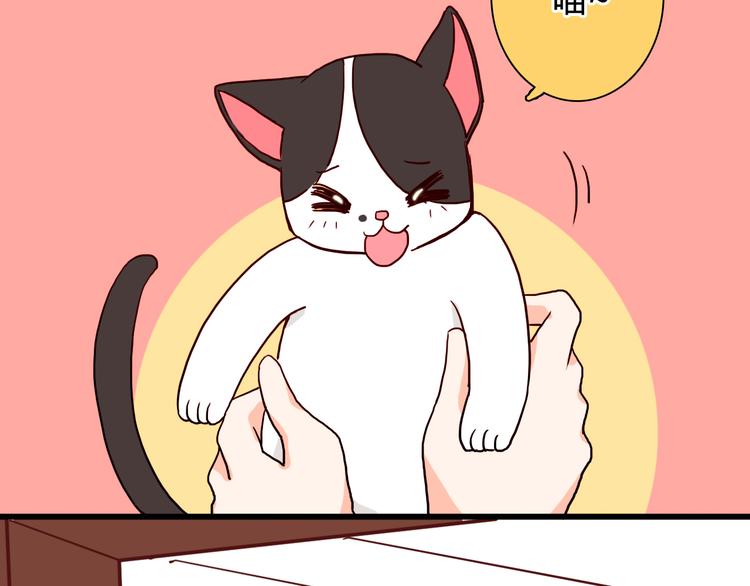 第19话 带我飞！5