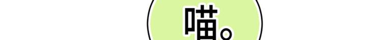 第19话19