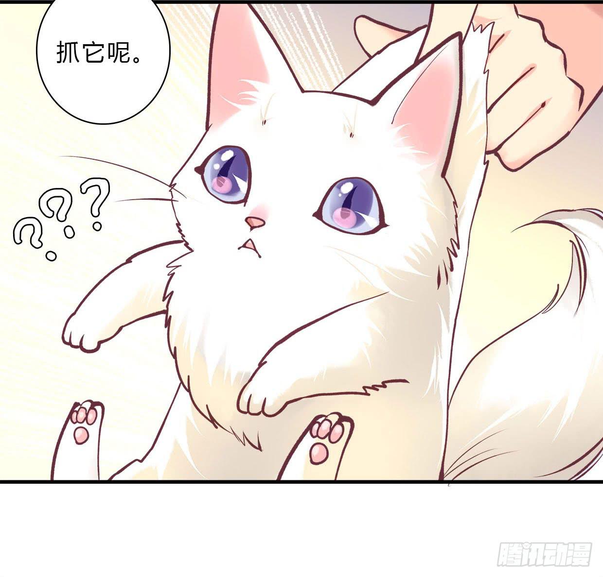 1523