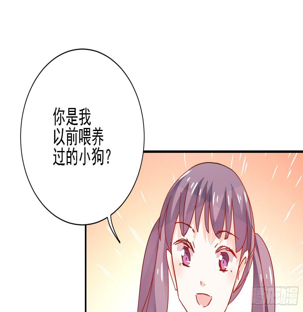 骑在狗背上的男孩108