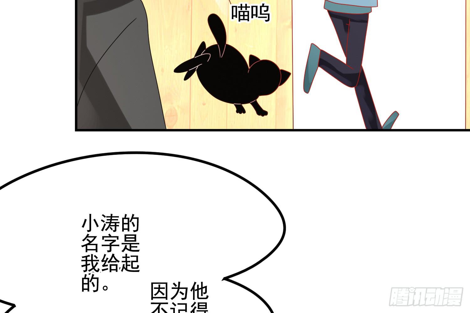 林中小屋65