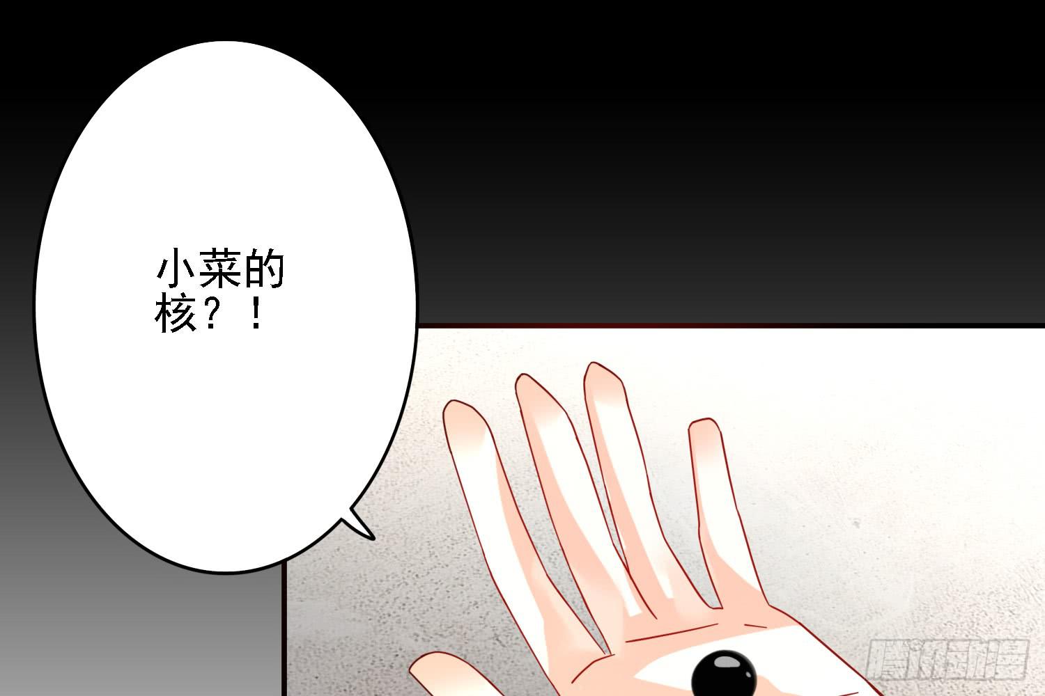 信任31