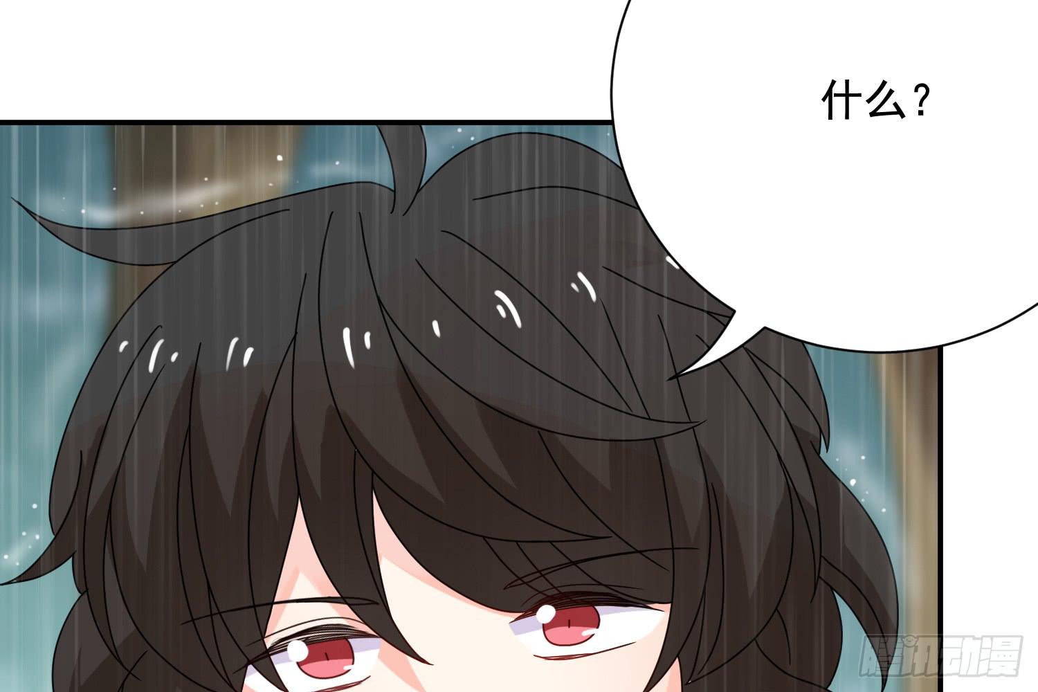 林中小屋14