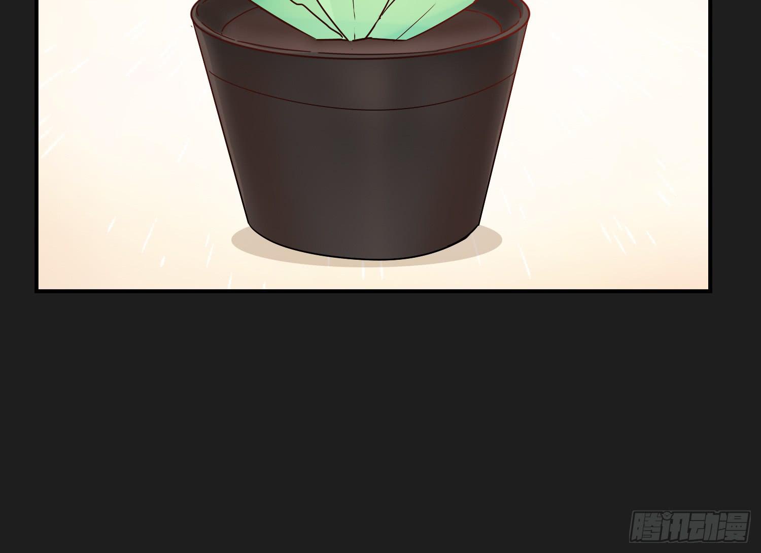 植物就要有植物的样子12