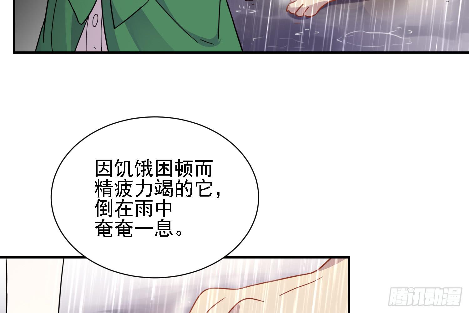 骑在狗背上的男孩43