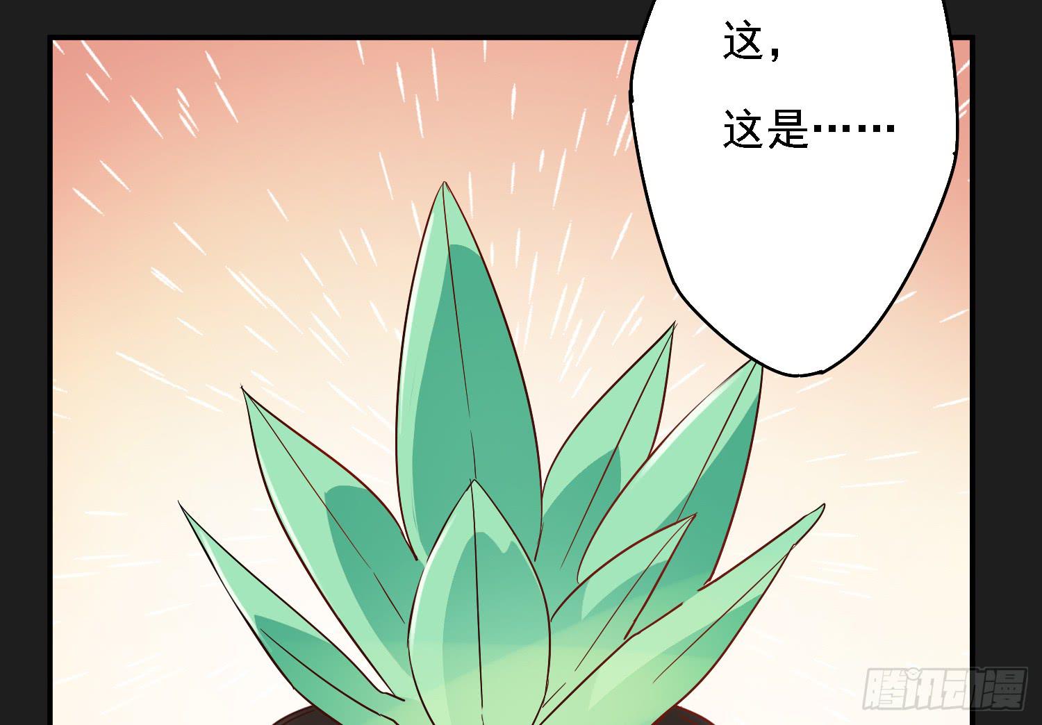 植物就要有植物的样子11