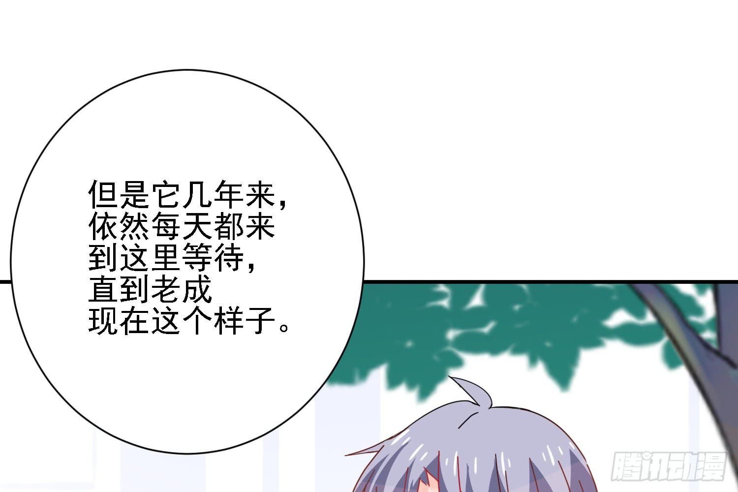 骑在狗背上的男孩56