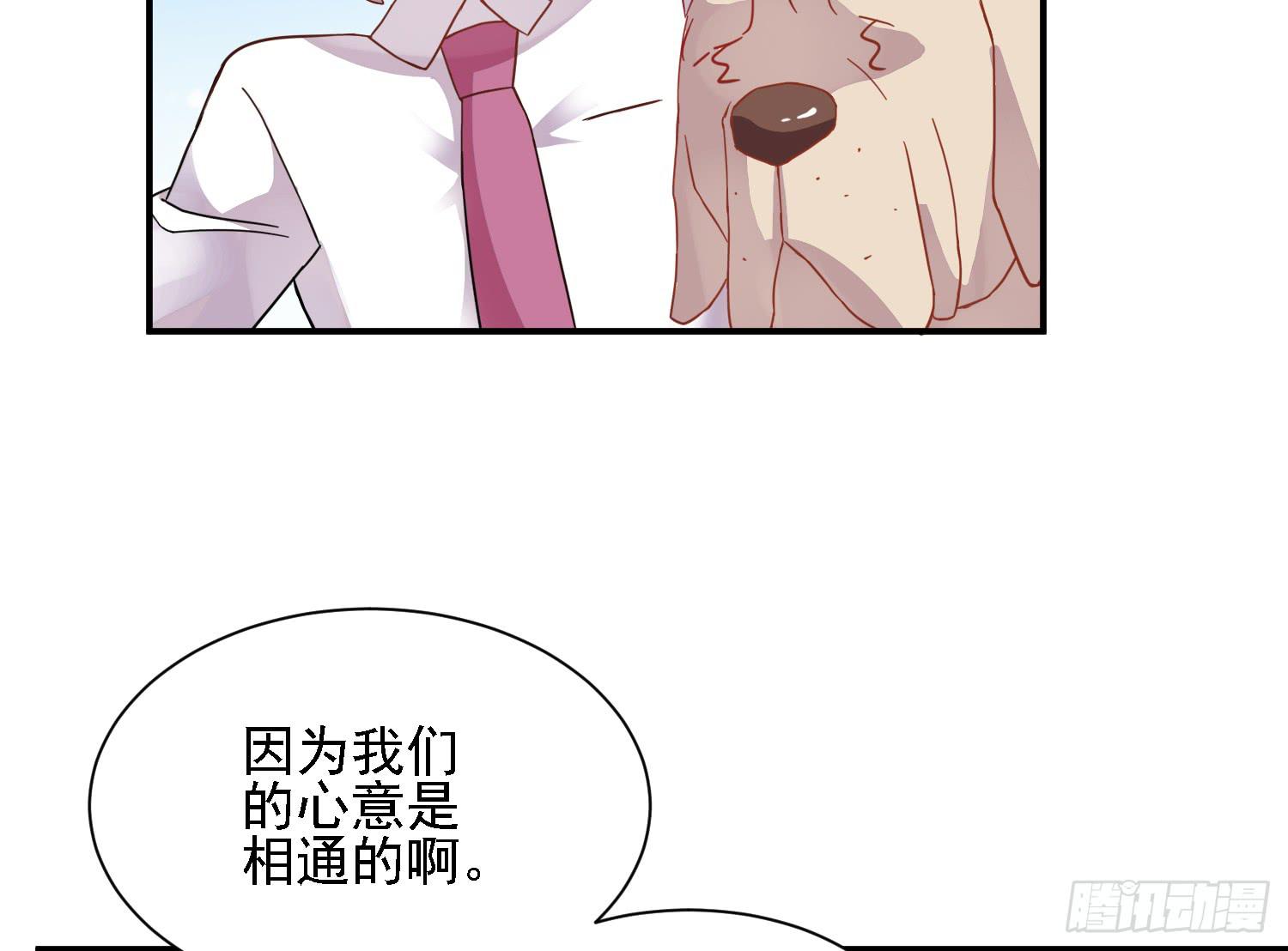 骑在狗背上的男孩41